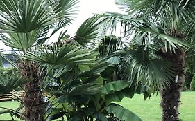 Ferienwohnung Palmengarten